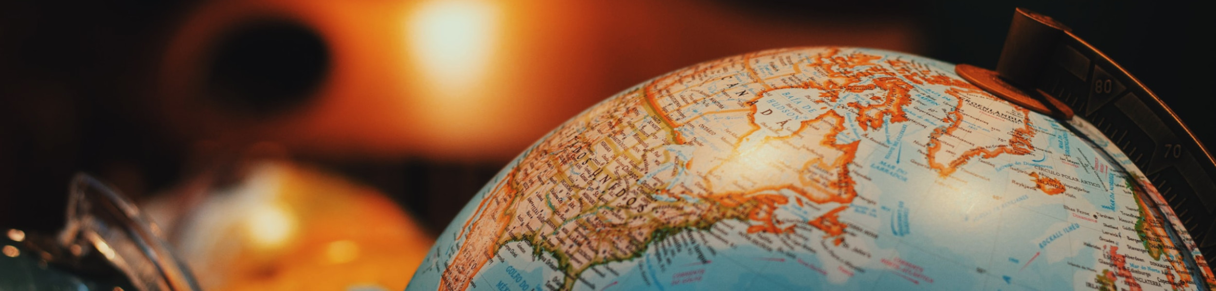 Prognozowanie globalnych przepływów kapitałowych